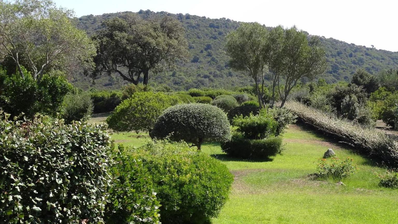 Les Hauts De Santa Giulia Порто-Векио Екстериор снимка